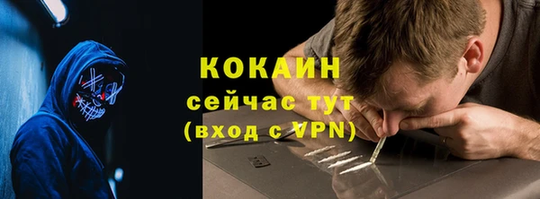 твердый Корсаков
