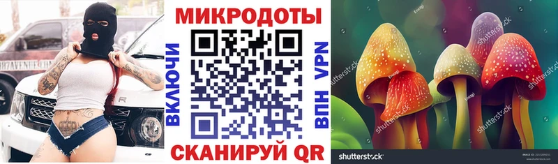 Псилоцибиновые грибы Magic Shrooms  Купить закладки  Спасск-Дальний 