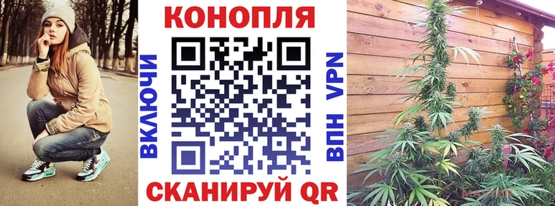 Купить закладки  Спасск-Дальний  Каннабис конопля 